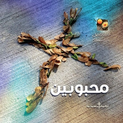 اشفي بلادنا - ترانيم الحياة الافضل