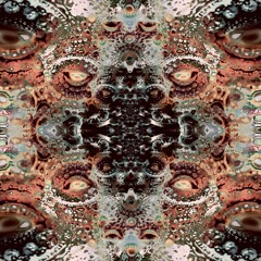 Cosmic Window(n) - Aqahhshik Records 23rd Annual Album Sampler and Buffet (-N singularity dub mix))