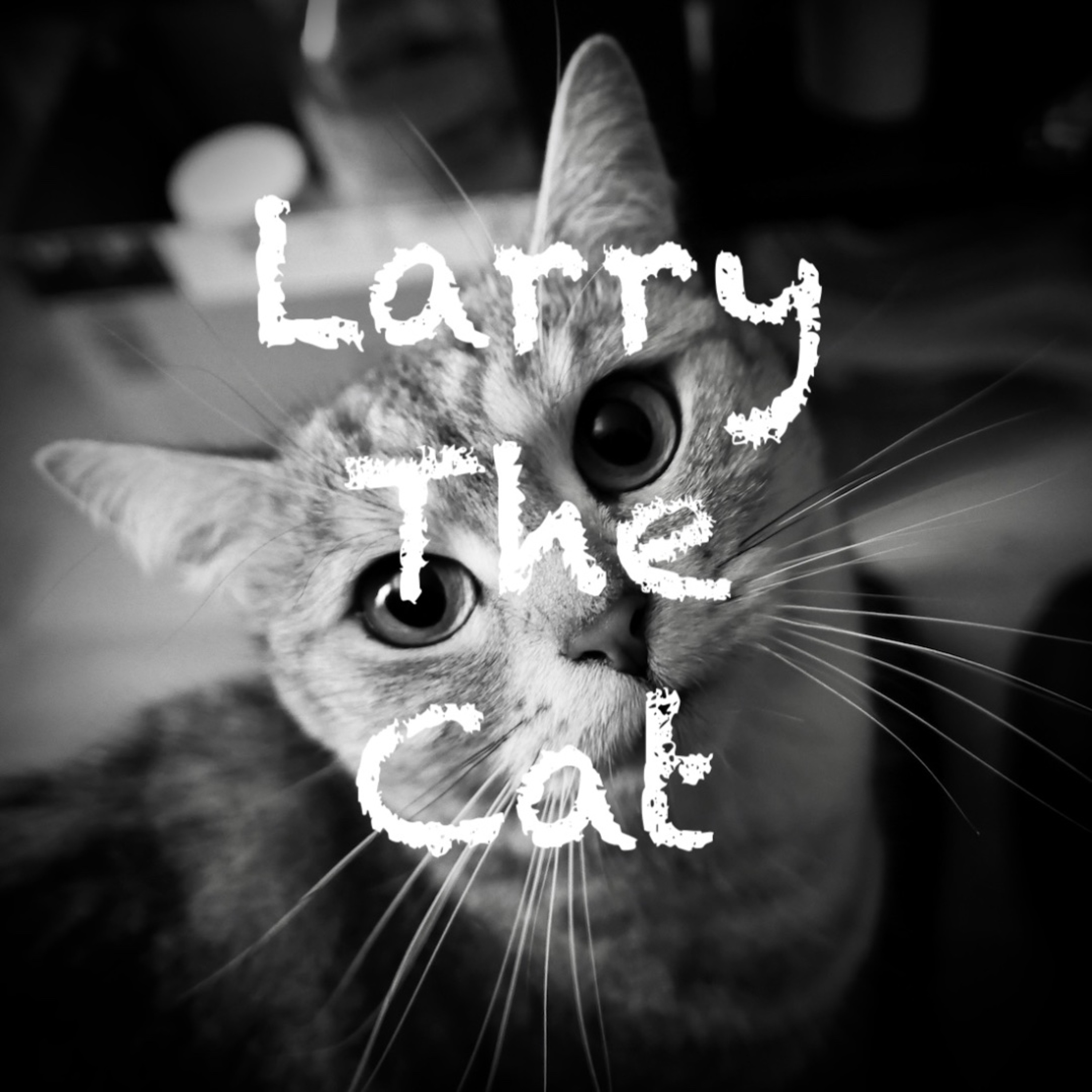 Larry The Cat episode artwork
