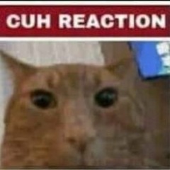 JFK INAUGURAL ADDRESS