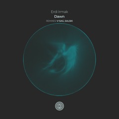 Erdi Irmak - Dawn (Salski Remix)