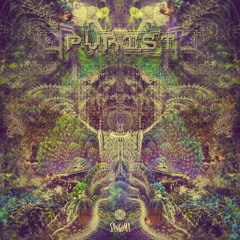 FOREST/TWILIGHT PSYCHEDELIC TRANCE