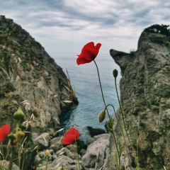 Cover: "Sea of Red" (intro) by Judas Priest