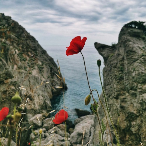 Cover: "Sea of Red" (intro) by Judas Priest