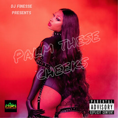 PALM THESE CHEECKS by dj finesse
