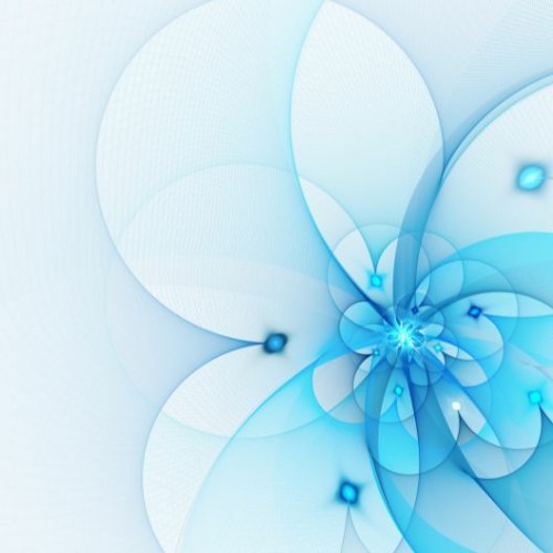 Art Of Man - Fractals Computer Graphics