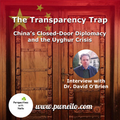 The Transparency Trap - China's Closed-Door Diplomacy and the Uyghur Crisis