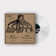 WR037: Woodland Records Presents a Roots Special 'Beanie & Daman meets The Co-operators'