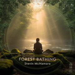 Inner Sanctuary: Stillness of Nature - 432 Hz