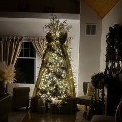 winter wonderland (amanda’s ver)