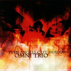 Omni Trio - Higher Ground.mp3