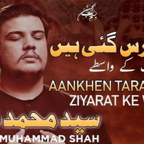 Aankhen Taras Gai Hain Ziyarat Ke Wastay | Syed Mohammad Shah | New Nohay 2020