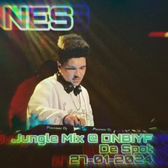 NES Jungle Mix @ DNBIYF De Spot, 27-01-2024