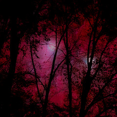 [;'e;] iw2km [god hates me]