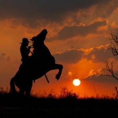 Želimir Panić - Hero