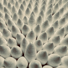 Phytol - Gateway Project 28/04/2025
