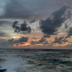 فصل في البصيرة..