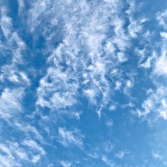 زيارة عاشوراء  - الحاج علي الكعبي