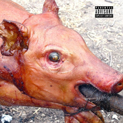SPITROAST