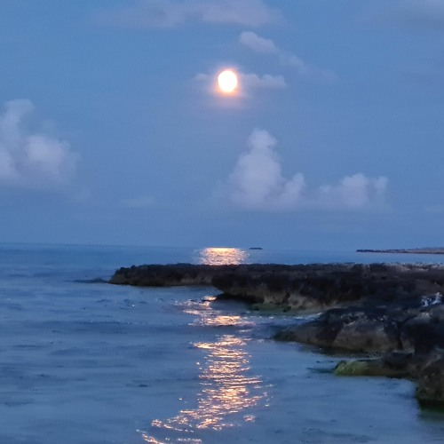 Moonlit Dancers