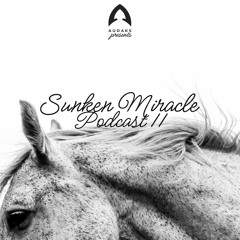 Audaks - Sunken Miracle Podcast 11