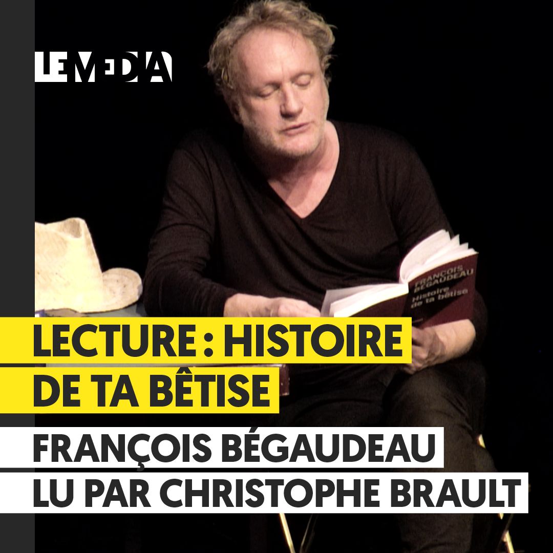 Lecture : histoire de ta bêtise de François Bégaudeau | Christophe Brault