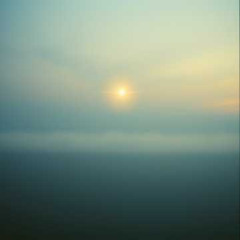 What Am I Without Life