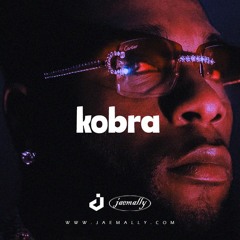 "Kobra" - Burna Boy Feat. Asake, Amapiano x Afro Fusion Type Beat