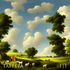 TAFFETA | 111