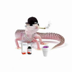 Gecko prod me and mike