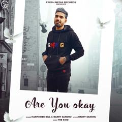 Are You Okay (feat. Garry Sandhu)