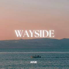 ACUE - WAYSIDE