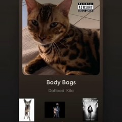 Body Bags (D-NG)🇲🇶 feat 🗝️