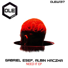 Gabriel Esef, Albin Kaczka - Wide Awake Snippet