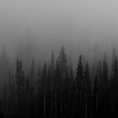 Arjan Wilmsen - Skýjað