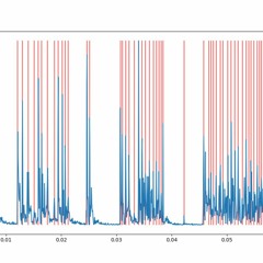 Dominant Negative Mutations