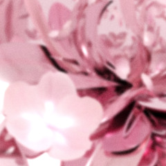 BLOSSOM VOL. 5 [AUDIO TEASER]
