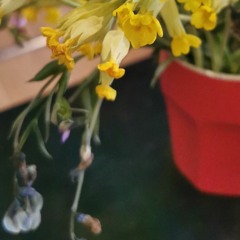 sundown in summertown demo v2