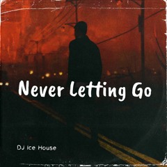 DJ Ice House - Never Letting Go (Extended Mix) [Free Download]
