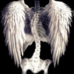 alma quebrada prod cristalesrotos