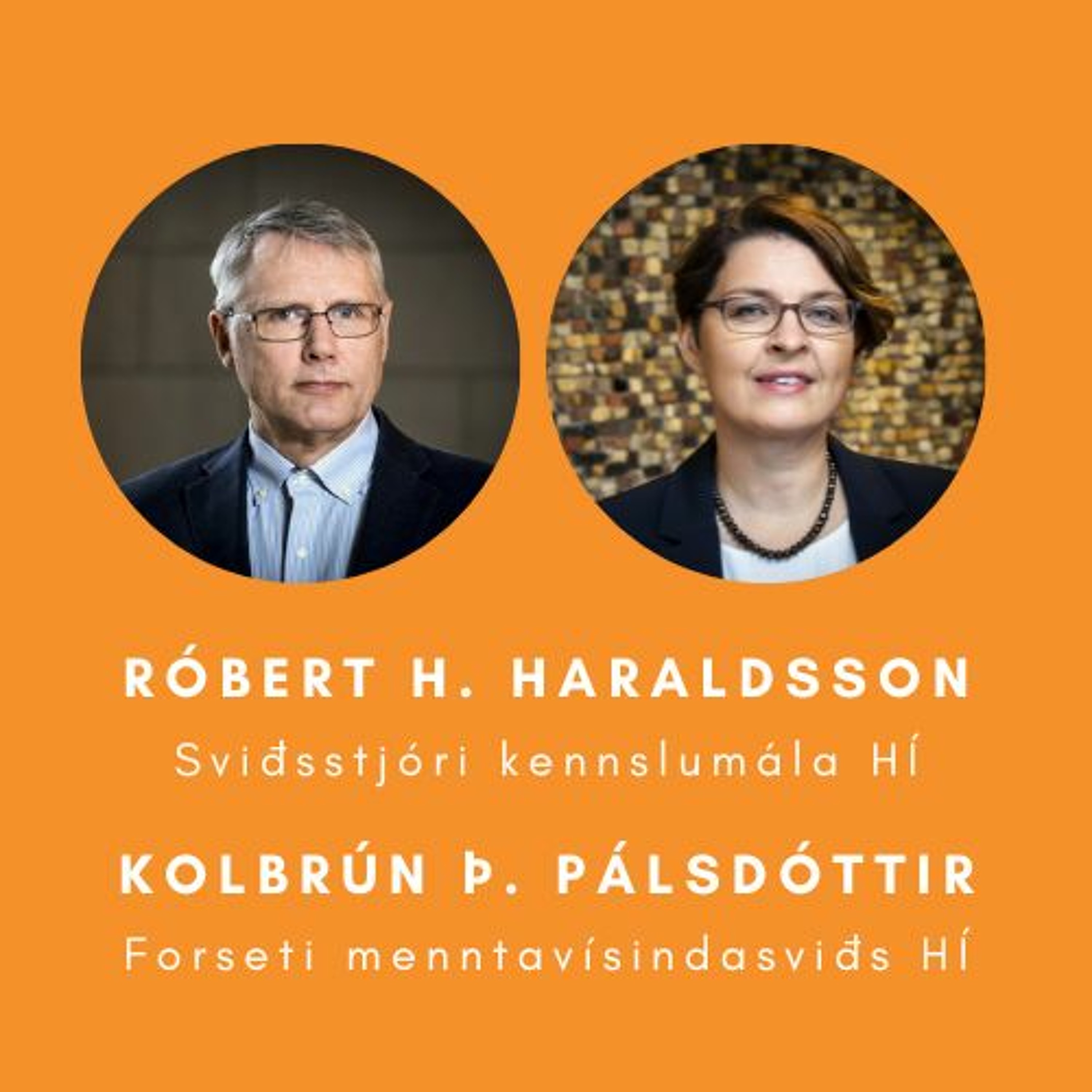 Menntasería - Háskóli - Kolbrún Þ. Pálsdóttir og Róbert H. Haraldsson episode artwork