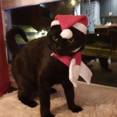 whenwewereyoung2(adlx  rmx).wav