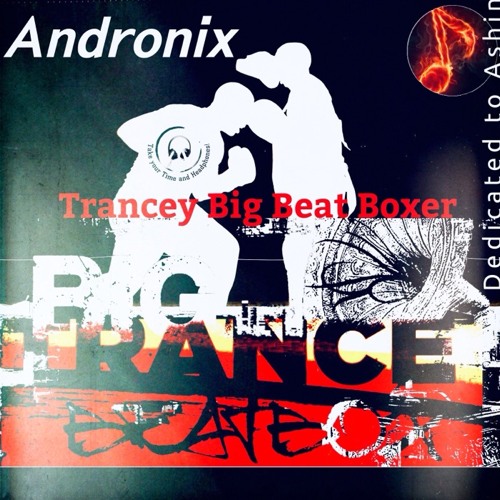 Trancey Big Beat Boxer
