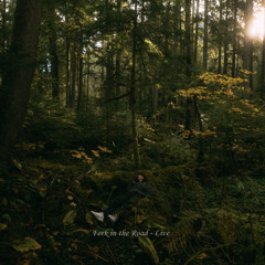 Fork in the Road (Live)