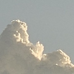 IWC - Vinyl Mix Sep 7, 2025