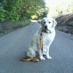 風の通り道