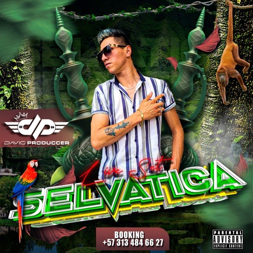 LIVE SET - SELVATICA ( 2K24 ) - DJ. DAVID PRODUCCER.wav