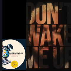 James Hype Benny Charles - How Good It Feels Don't Wake Me Up (Woodsymix)