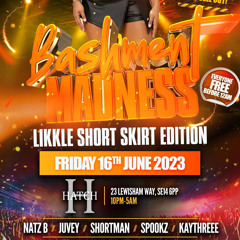 Bashment Madness Short Skirt Edition 2023 :LIve Audio Mixed & Hosted BY DJ NATZ B