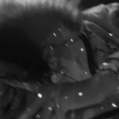 $6X ~ smile (kaorru4)「𝘍𝘰𝘳𝘦𝘷𝘦𝘳𝘮𝘶𝘴𝘪𝘤 𝘦𝘹𝘤𝘭𝘶𝘴𝘪𝘷𝘦」